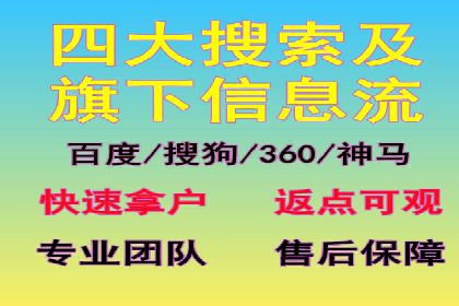 案例解读：SEO与SEM优化助力电商崛起